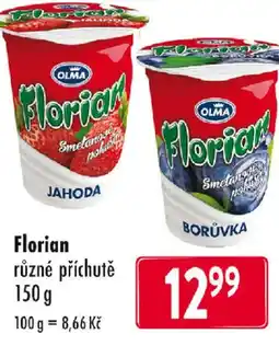 Qanto OLMA Florian nabídka
