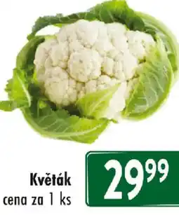 Qanto Květák nabídka