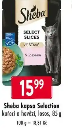 Qanto Sheba kapsa Selection kuřecí a hovězí, losos nabídka