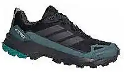 Intersport Pánské outdoorové boty Terrex Skychaser AX5 GTX nabídka