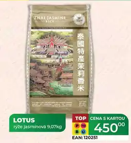 Tamda Foods LOTUS rýže jasmínová 9,07kg nabídka