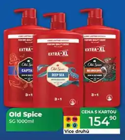 Tamda Foods Old Spice SG 1000ml nabídka