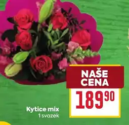 Billa Kytice mix nabídka