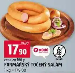 Terno FARMÁŘSKÝ TOČENÝ SALÁM 100 g nabídka