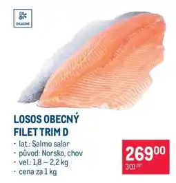 Makro Losos obecný filet trim D nabídka