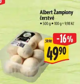 Albert Albert Žampiony čerstvé nabídka