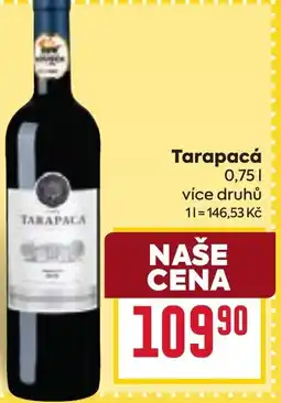 Billa Tarapacá nabídka