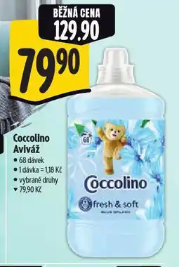 Albert Coccolino aviváž nabídka