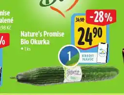 Albert Bio okurka nabídka