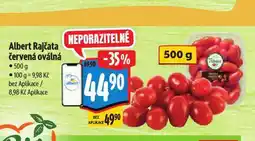 Albert Rajčata červená oválná nabídka