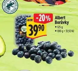 Albert Borůvky nabídka
