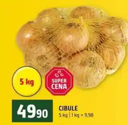 Terno Cibule 5 kg nabídka