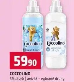 Terno COCCOLINO 39 dávek nabídka