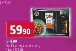 Terno SHEBA 4x 85 g nabídka
