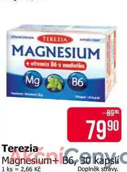 Teta TEREZIA Magnesium+ B6, 30 kapslí nabídka