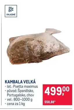 Makro Kambala velká nabídka