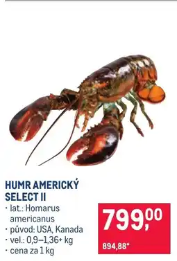 Makro Humr americký select II nabídka
