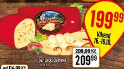 TEMPO Syr Lack Dammer nabídka