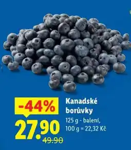 Lidl KANADSKÉ BORŮVKY nabídka