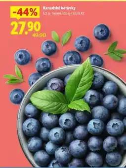 Lidl KANADSKÉ BORŮVKY nabídka