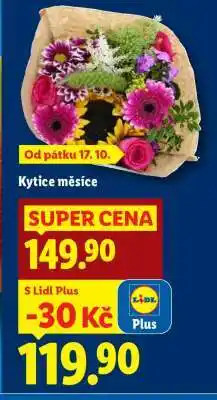 Lidl KYTICE MĚSÍCE nabídka