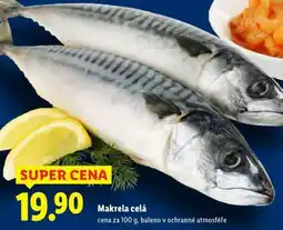 Lidl Makrela celá nabídka