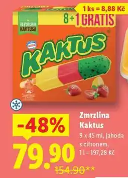 Lidl ZMRZLINA KAKTUS nabídka