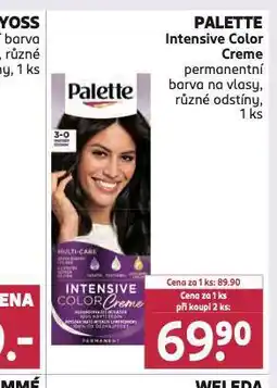 Rossmann Palette barva na vlasy nabídka