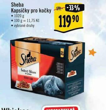 Albert Sheba kapsičky pro kočky nabídka