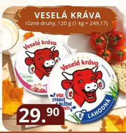 Potraviny CZ Veselá kráva nabídka