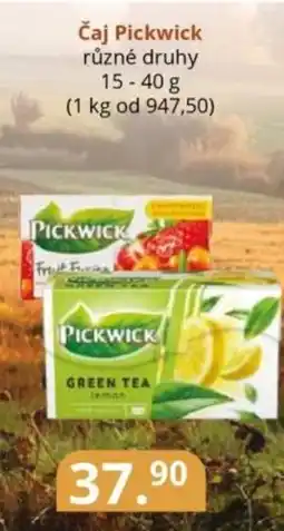 Potraviny CZ Čaj Pickwick nabídka