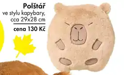 TEDi Polštář nabídka
