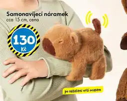 TEDi Samonavíjecí náramek nabídka