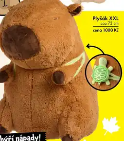 TEDi Plyšák XXL nabídka
