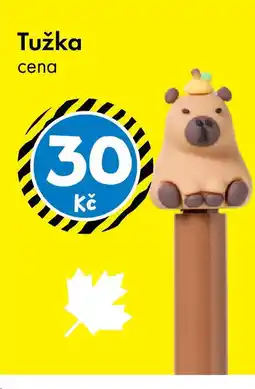 TEDi Tužka nabídka