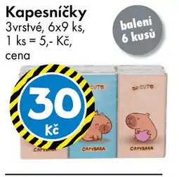 TEDi Kapesníčky nabídka