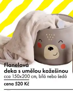 TEDi Flanelová deka s umělou kožešinou nabídka