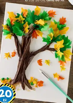 TEDi Plátno nabídka