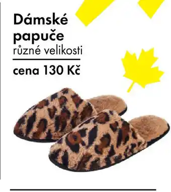 TEDi Dámské papuče nabídka