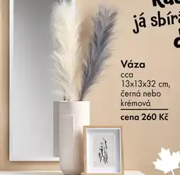 TEDi Váza nabídka