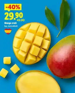 Lidl Mango zlaré nabídka