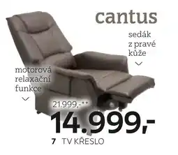 XXXLutz Tv křeslo nabídka