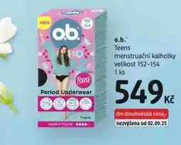 dm drogerie O.b. menstruační kalhotky nabídka