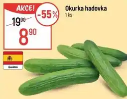 Globus Okurka hadovka nabídka