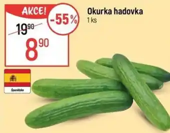 Globus Okurka hadovka nabídka