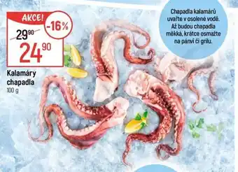 Globus Kalamáry chapadla nabídka