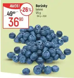 Globus Borůvky nabídka