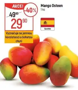 Globus Mango Osteen nabídka
