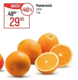 Globus Pomeranče nabídka