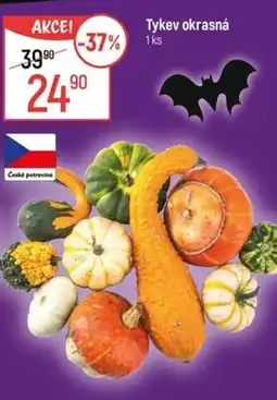 Globus Tykev okrasná nabídka